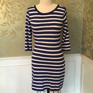 Express sheath dress